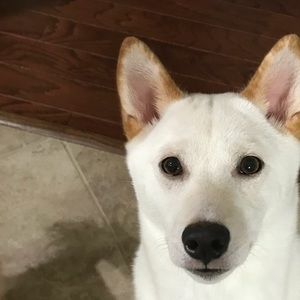 Meet your Posher, Crystal